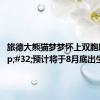 旅德大熊猫梦梦怀上双胞胎&#32;预计将于8月底出生