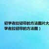 初学者拉韧带的方法图片大全（初学者拉韧带的方法图）