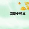 激爱小神父