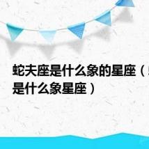 蛇夫座是什么象的星座(蛇夫座是什么象星座)