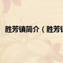 胜芳镇简介（胜芳镇）