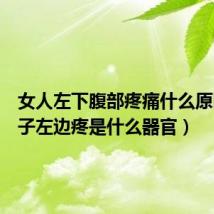 女人左下腹部疼痛什么原因(肚子左边疼是什么器官)