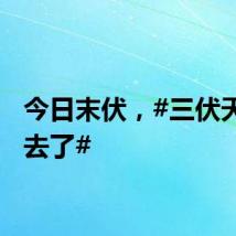 今日末伏，#三伏天快过去了#