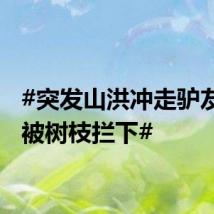 #突发山洪冲走驴友幸好被树枝拦下#