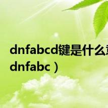 dnfabcd键是什么意思（dnfabc）