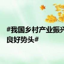 #我国乡村产业振兴呈现良好势头#