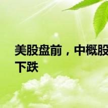 美股盘前，中概股多数下跌