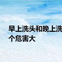 早上洗头和晚上洗头哪个危害大