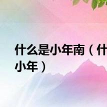 什么是小年南（什么是小年）