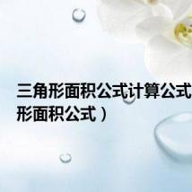 三角形面积公式计算公式(三角形面积公式)