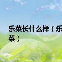 乐菜长什么样（乐斗菜菜）