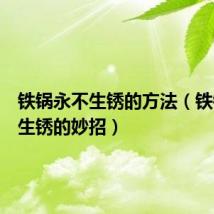 铁锅永不生锈的方法（铁锅永不生锈的妙招）