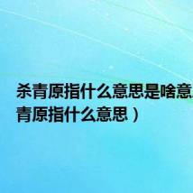 杀青原指什么意思是啥意思(杀青原指什么意思)