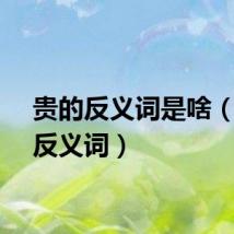 贵的反义词是啥(贵的反义词)