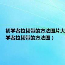 初学者拉韧带的方法图片大全(初学者拉韧带的方法图)