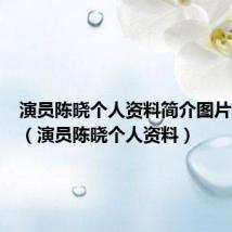 演员陈晓个人资料简介图片大全集（演员陈晓个人资料）