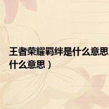王者荣耀羁绊是什么意思(羁绊什么意思)