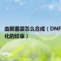 血腥套装怎么合成(DNF血腥净化的纹章)