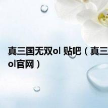 真三国无双ol 贴吧（真三国无双ol官网）