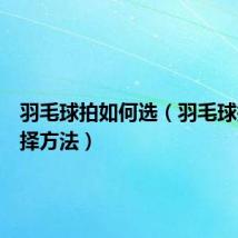 羽毛球拍如何选（羽毛球拍的选择方法）