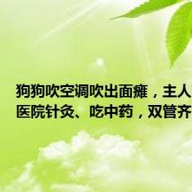 狗狗吹空调吹出面瘫,主人带它去医院针灸、吃中药,双管齐下治疗