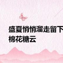 盛夏悄悄溜走留下一朵棉花糖云