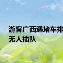游客广西遇堵车排长龙无人插队