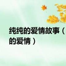 纯纯的爱情故事（纯纯的爱情）
