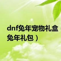 dnf兔年宠物礼盒（dnf兔年礼包）