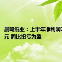 晨鸣纸业:上半年净利润2865万元 同比扭亏为盈