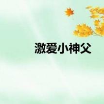 激爱小神父