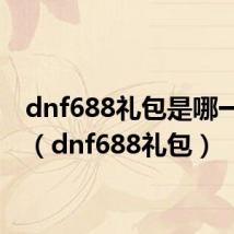 dnf688礼包是哪一年的(dnf688礼包)
