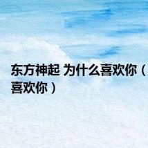 东方神起 为什么喜欢你(为什么喜欢你)