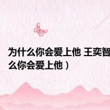为什么你会爱上他 王奕智(为什么你会爱上他)