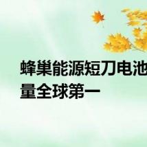 蜂巢能源短刀电池出货量全球第一