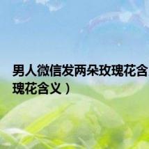 男人微信发两朵玫瑰花含义(玫瑰花含义)