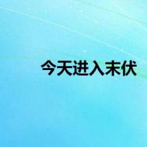 今天进入末伏
