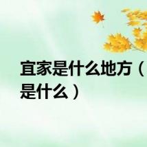 宜家是什么地方（宜家是什么）