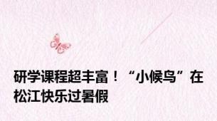 研学课程超丰富！“小候鸟”在松江快乐过暑假