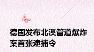 德国发布北溪管道爆炸案首张逮捕令