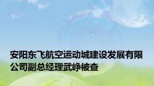 安阳东飞航空运动城建设发展有限公司副总经理武峥被查
