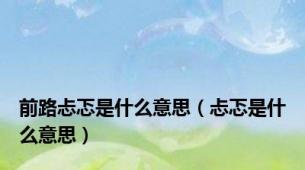 前路忐忑是什么意思（忐忑是什么意思）