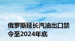 俄罗斯延长汽油出口禁令至2024年底