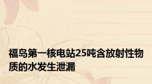 福岛第一核电站25吨含放射性物质的水发生泄漏