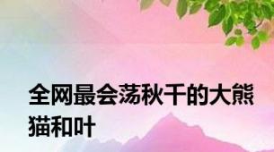 全网最会荡秋千的大熊猫和叶