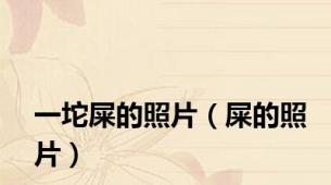 一坨屎的照片（屎的照片）