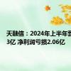 天融信：2024年上半年营收8.73亿 净利润亏损2.06亿