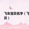 飞车宝贝名字（飞车宝贝）