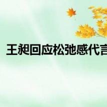 王昶回应松弛感代言人