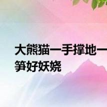 大熊猫一手撑地一手炫笋好妖娆